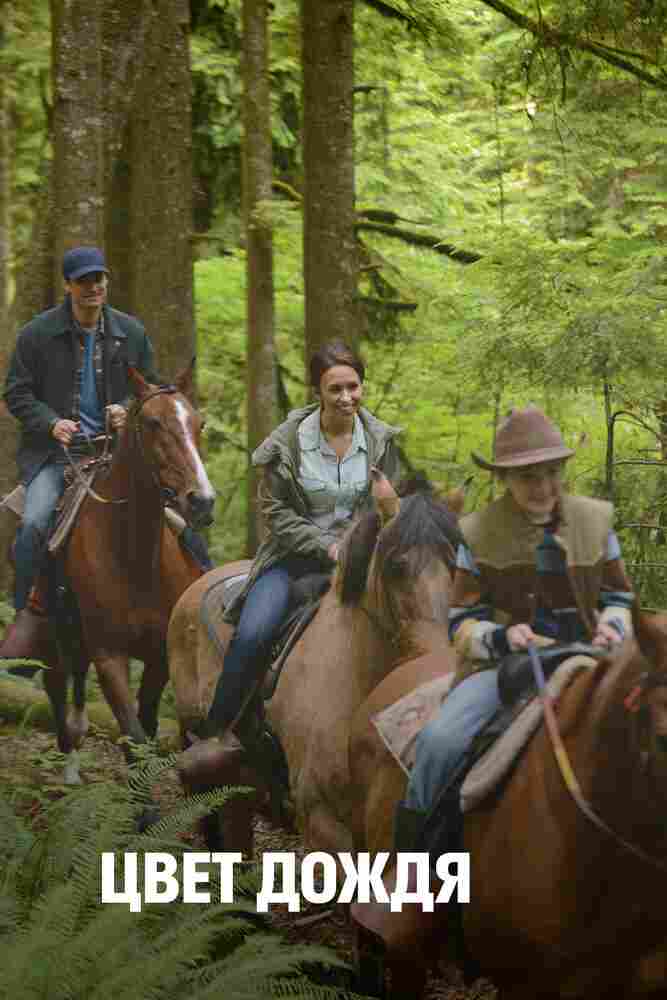 Цвет дождя 2014