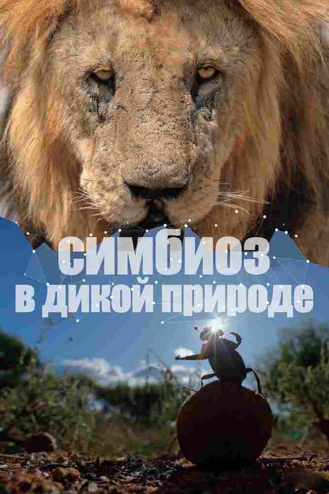 Симбиоз в дикой природе 2023