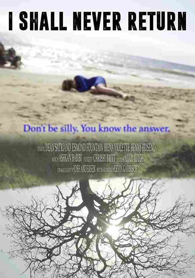 Я больше никогда не вернусь 2017