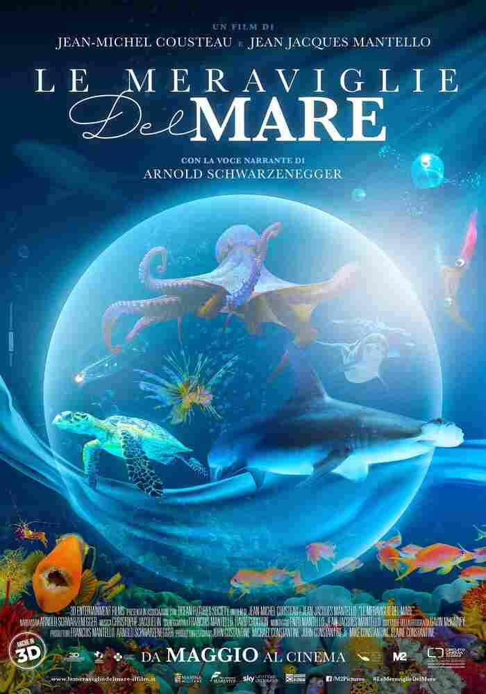 Чудеса моря 2017