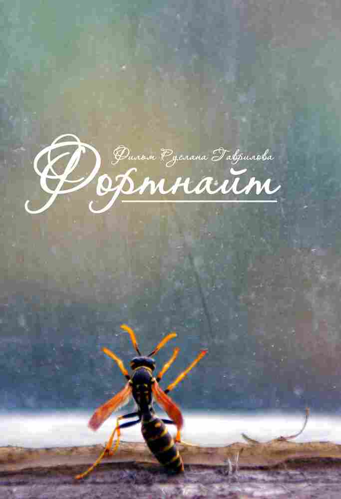 Фортнайт 2013