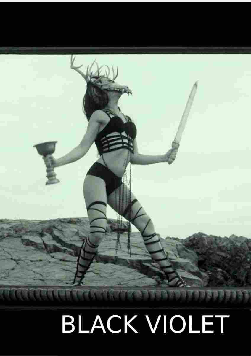 Черная фиалка 2017