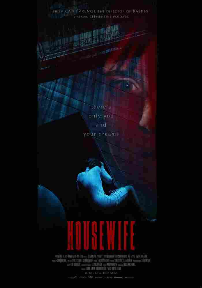 Домохозяйка 2017