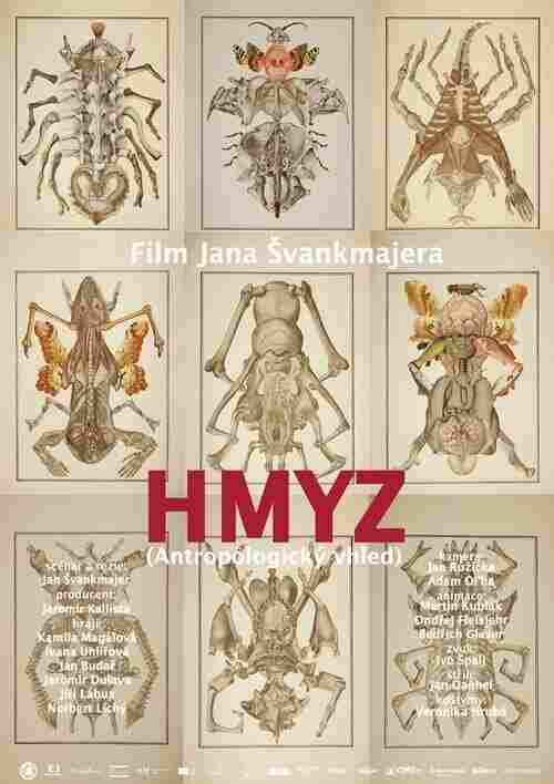 Насекомые 2018