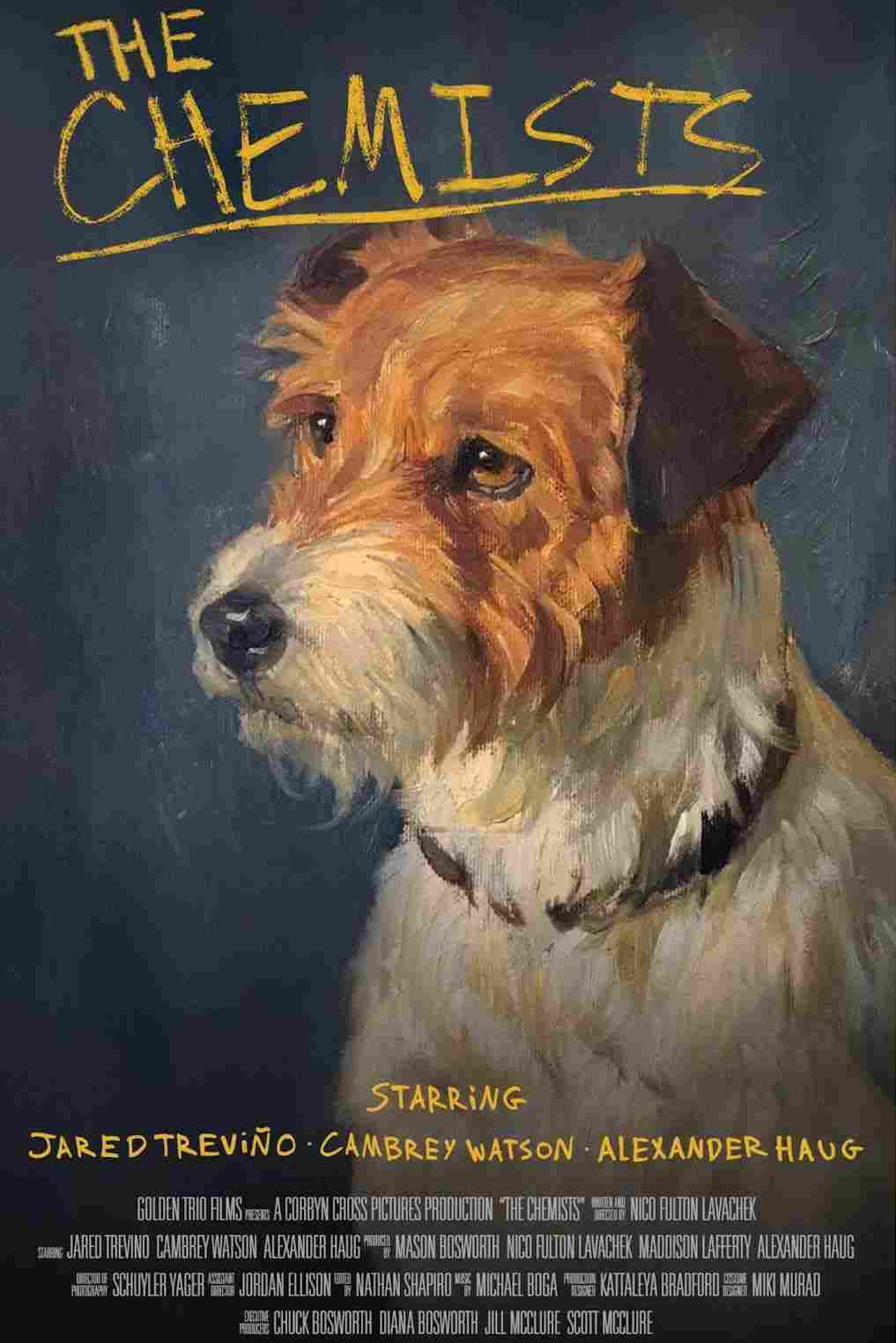 В поисках химии 2022