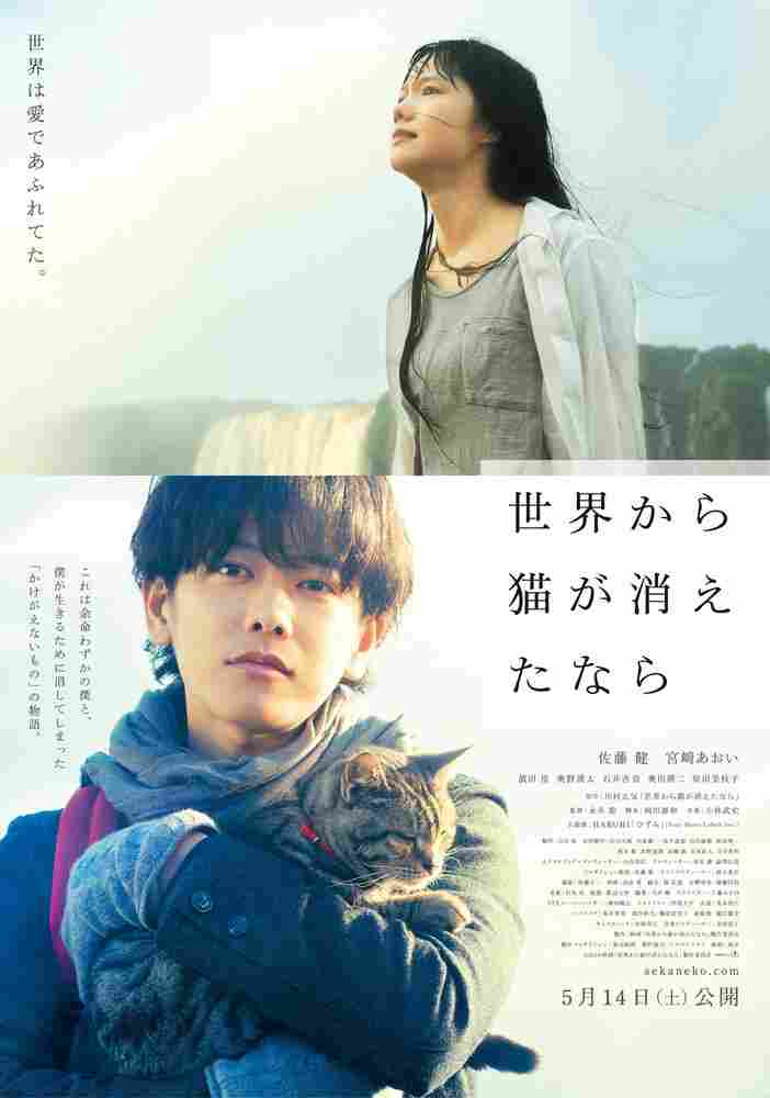 Если кошки исчезнут во всём мире 2016