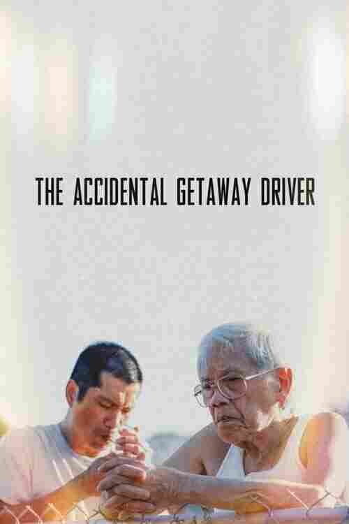 Случайный сбежавший водитель 2023