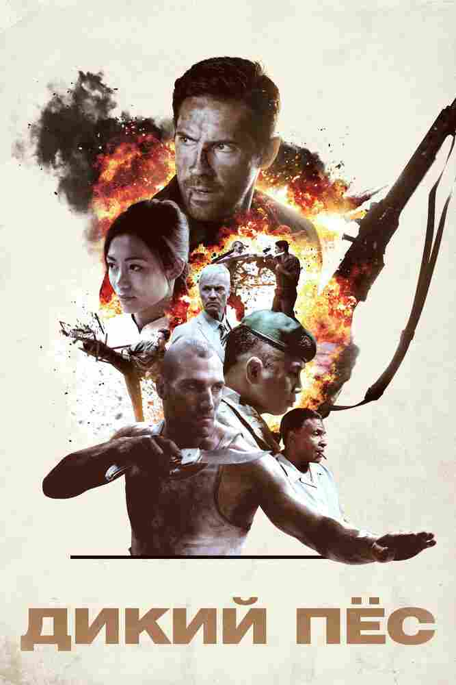 Дикий пёс 2017