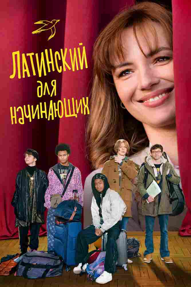 Латинский для начинающих 2024