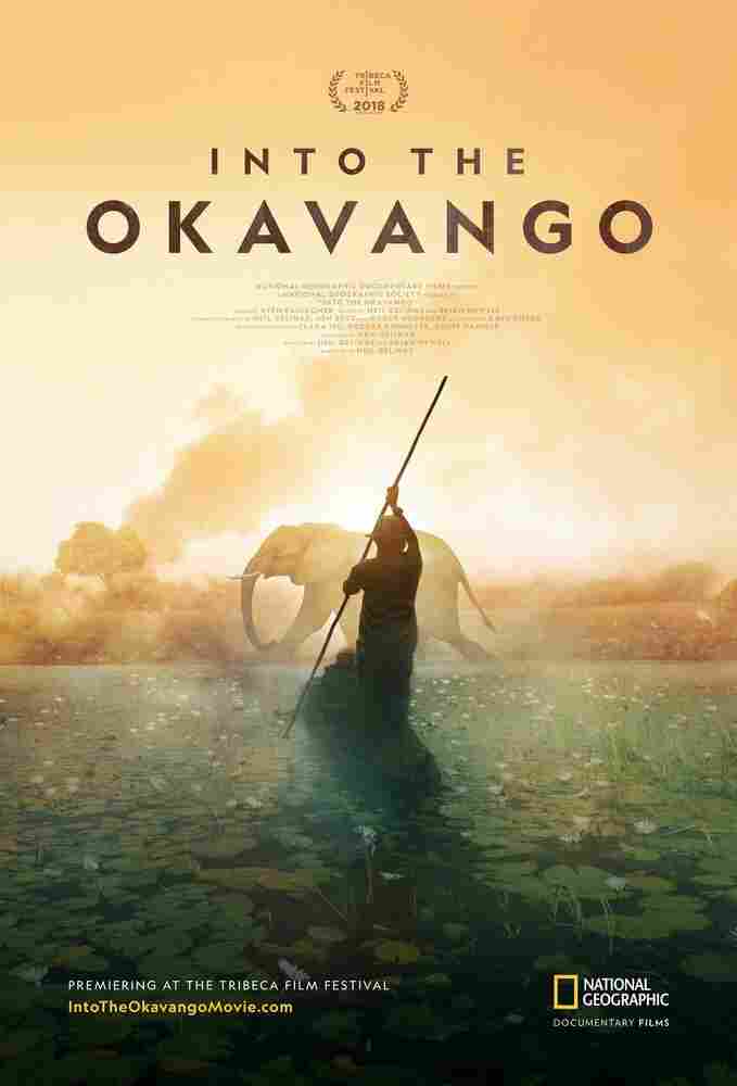 Далеко в Окаванго 2018