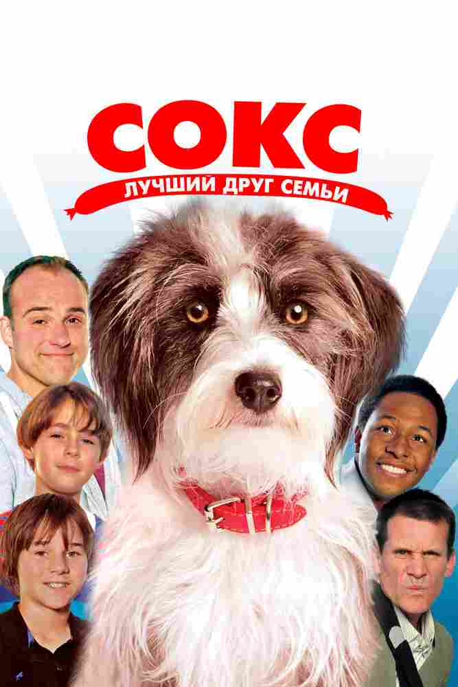 Сокс. Лучший друг семьи 2013