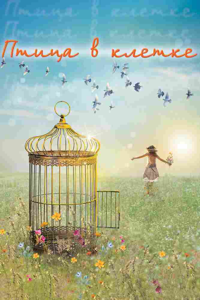 Птица в клетке 2013