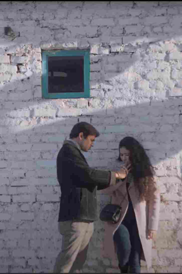 Влюблённый пассажир 2024