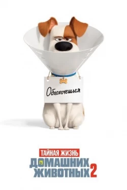 Тайная жизнь домашних животных 2 (2019)