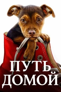 Путь домой (2019)