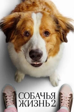 Собачья жизнь 2 (2019)