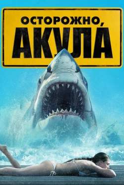 Осторожно, акула (2024)