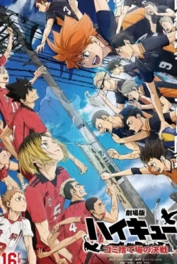 Волейбол!! Решающая игра на свалке (2024)