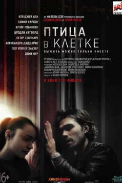 Птица в клетке (2020)