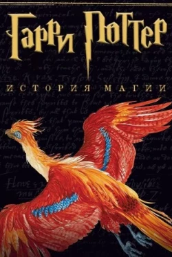 Гарри Поттер: История магии (2017)