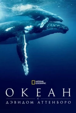 Дэвид Аттенборо: Океан (2025)