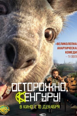 Осторожно, Кенгуру! (2020)