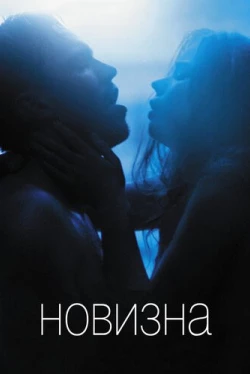 Новизна (2017)