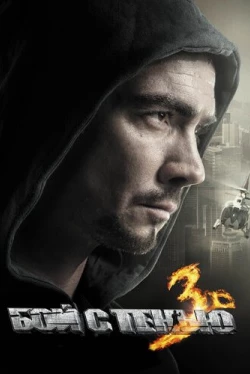 Бой с тенью 3D: Последний раунд (2011)