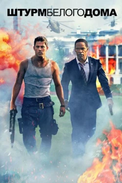 Штурм Белого дома (2013)