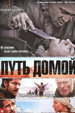 Путь домой (2010)