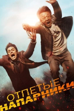 Отпетые напарники (2016)