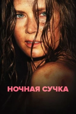 Ночная сучка (2024)