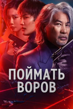 Поймать воров (2025)