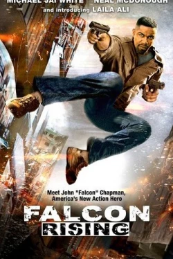 Восхождение Сокола (2014)