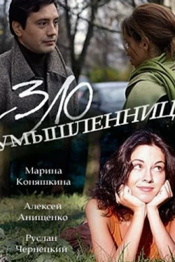 Злоумышленница (2018)