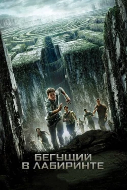 Бегущий в лабиринте (2014)