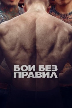 Бои без правил (2017)