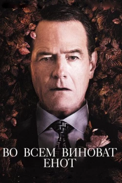 Во всем виноват енот (2016)