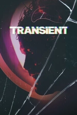 Переходный процесс (2024)