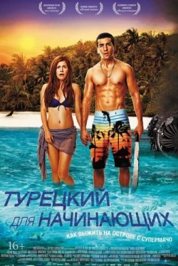 Турецкий для начинающих (2012)