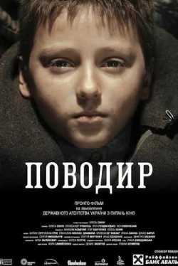 Поводырь (2013)