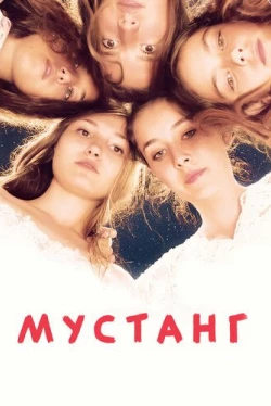 Мустанг (2015)