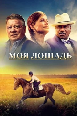 Моя лошадь (2016)