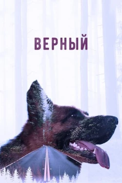 Верный (2016)