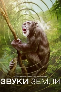 Звуки Земли (2024)