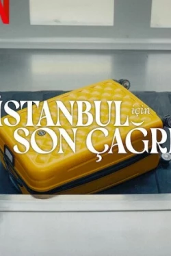 Заканчивается посадка на рейс в Стамбул (2023)