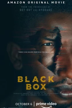 Чёрный ящик / Black Box (2020)