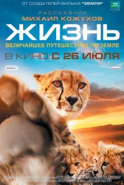 Жизнь (2011)