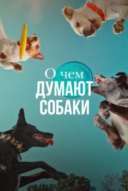 О чем думают собаки (2024)