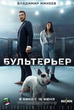 Бультерьер (2022)